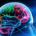 What is the mildest form of traumatic brain injury?